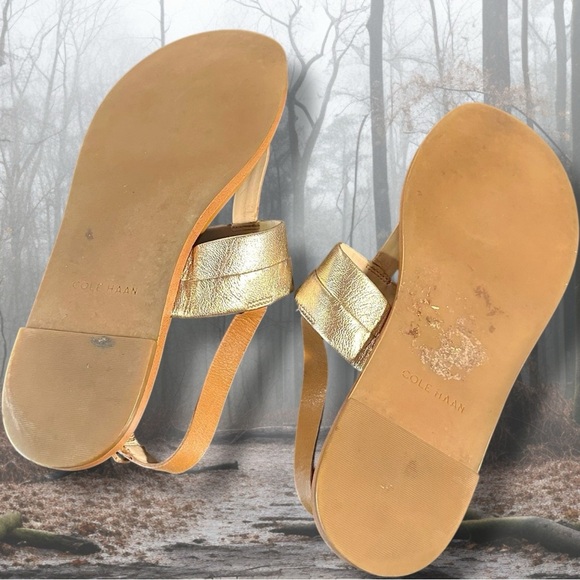 Cole Haan ‘Ainsley Grand T-Strap Sandals’ in Tan & Gold Metallic Leather Size 7 - Picture 13 of 16